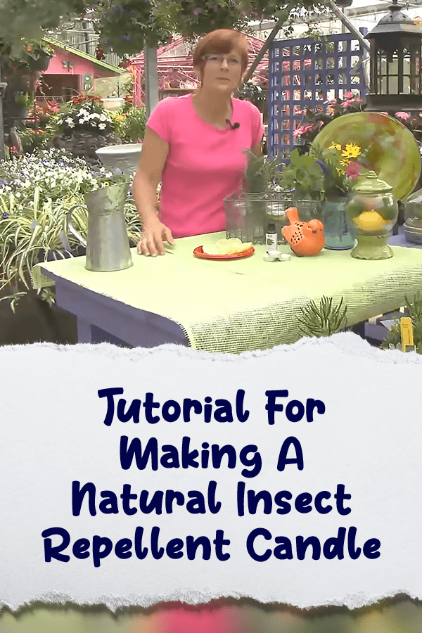 Tutorial For Making A Natural Insect Repellent Candle