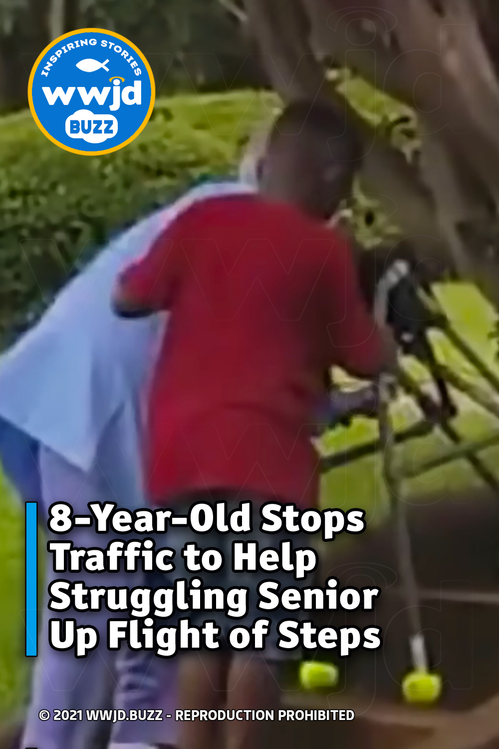 8-Year-Old Stops Traffic to Help Struggling Senior Up Flight of Steps