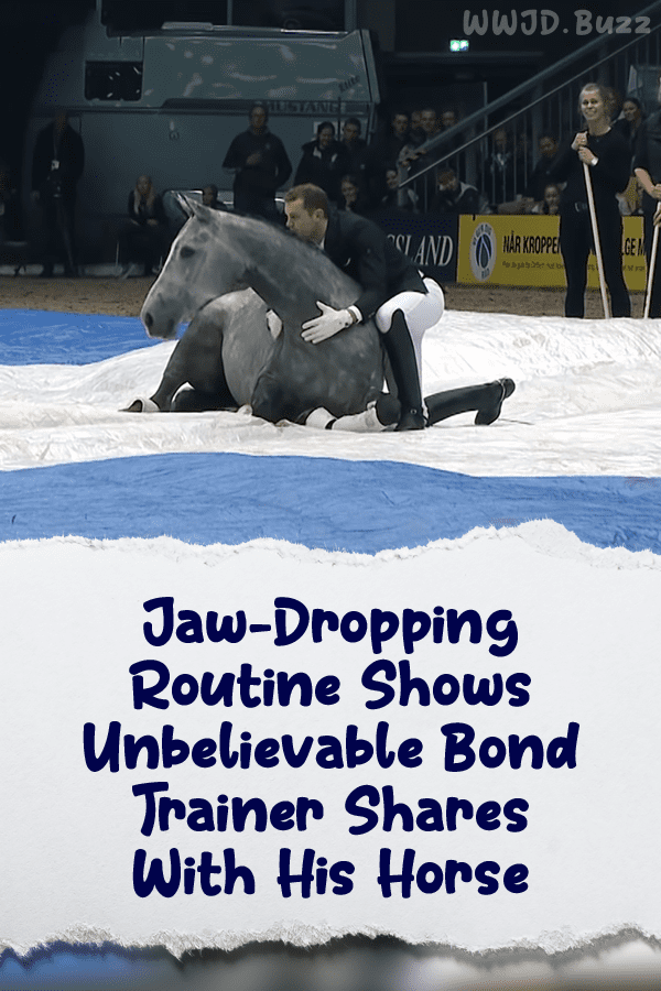 Jaw-Dropping Routine Shows Unbelievable Bond Trainer Shares With His Horse