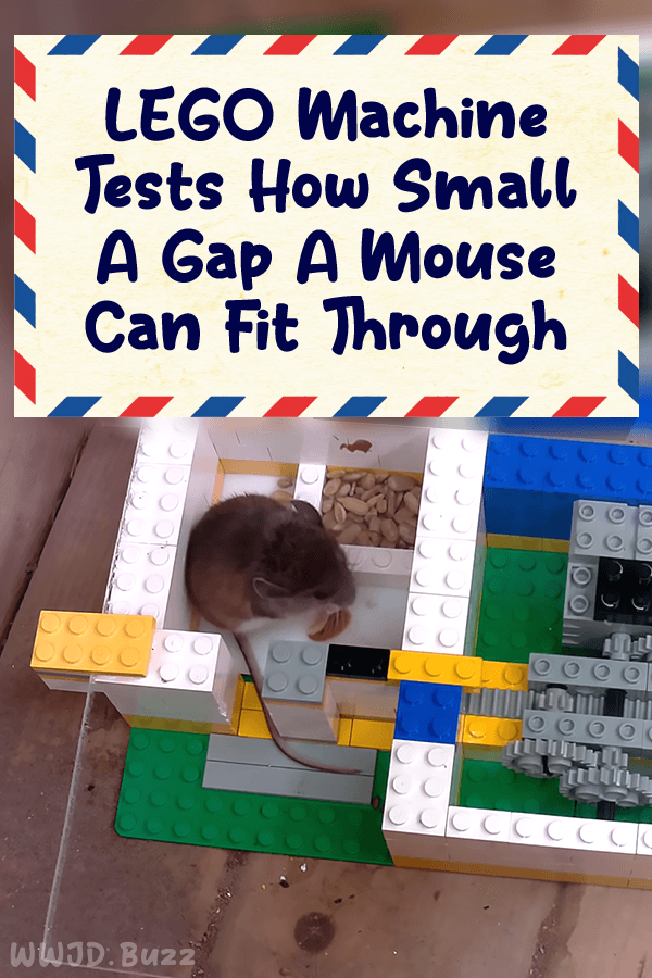 LEGO Machine Tests How Small A Gap A Mouse Can Fit Through