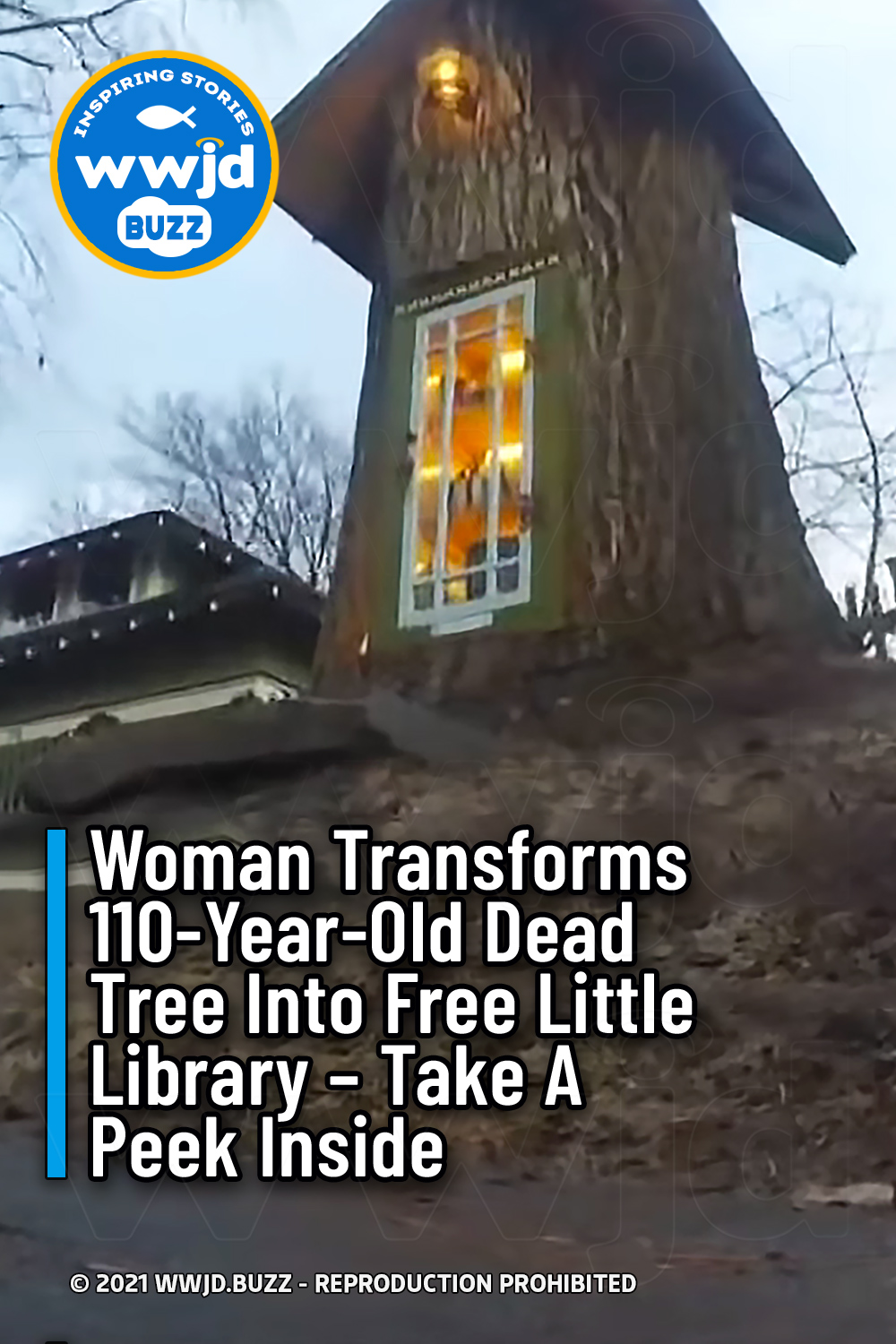 Woman Transforms 110-Year-Old Dead Tree Into Free Little Library - Take A Peek Inside