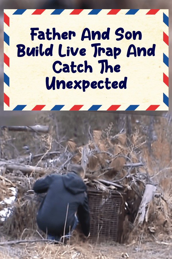 Father And Son Build Live Trap And Catch The Unexpected