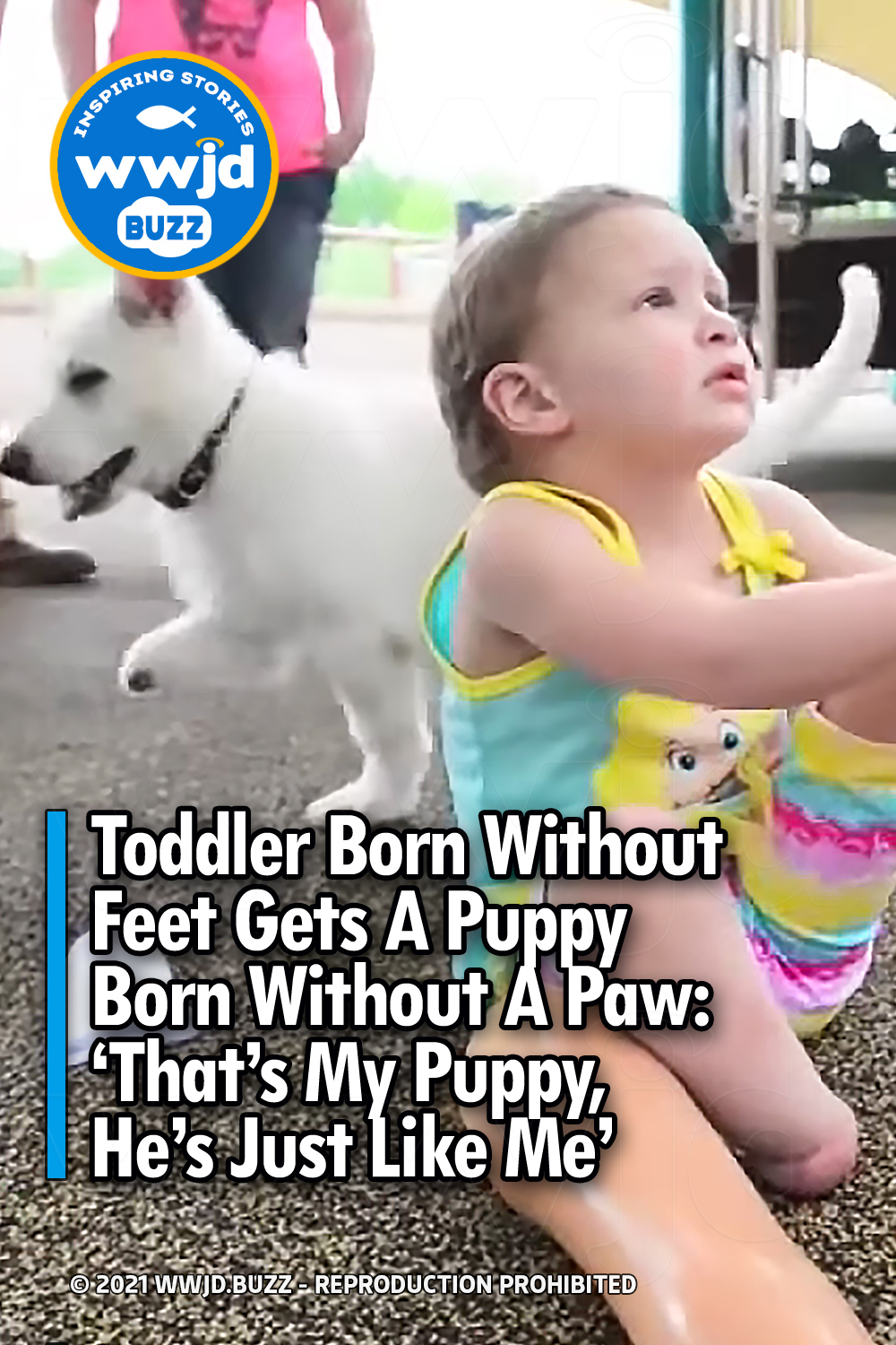 Toddler Born Without Feet Gets A Puppy Born Without A Paw: \'That\'s My Puppy, He\'s Just Like Me\'