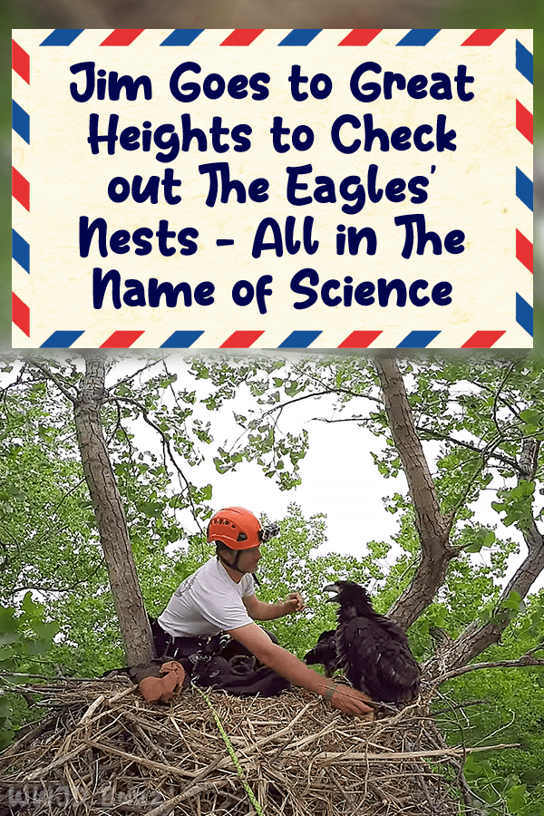 Jim Goes to Great Heights to Check out The Eagles\' Nests - All in The Name of Science