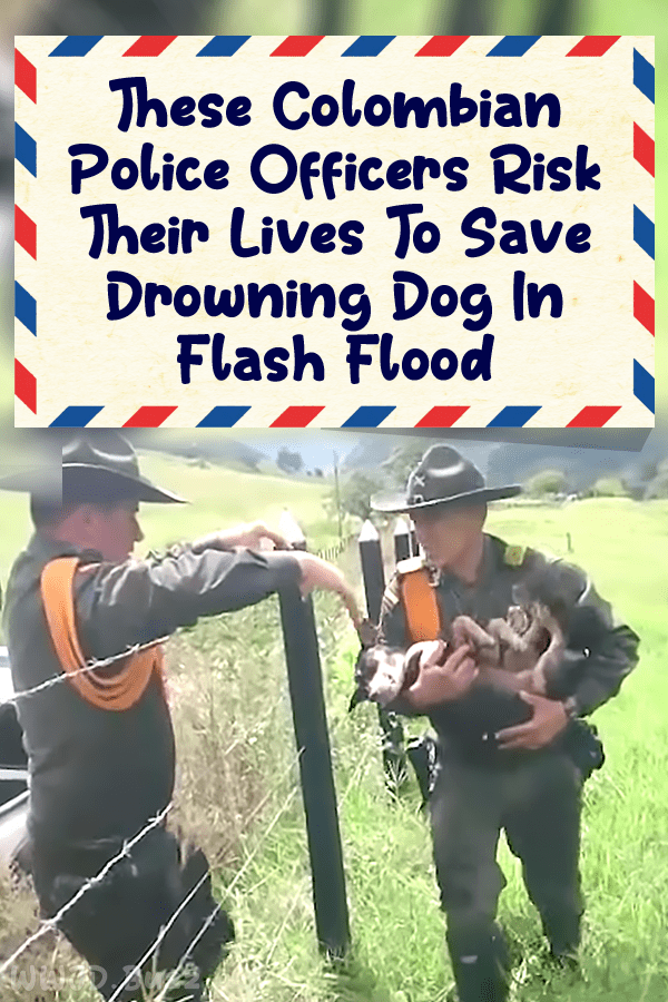 These Colombian Police Officers Risk Their Lives To Save Drowning Dog In Flash Flood