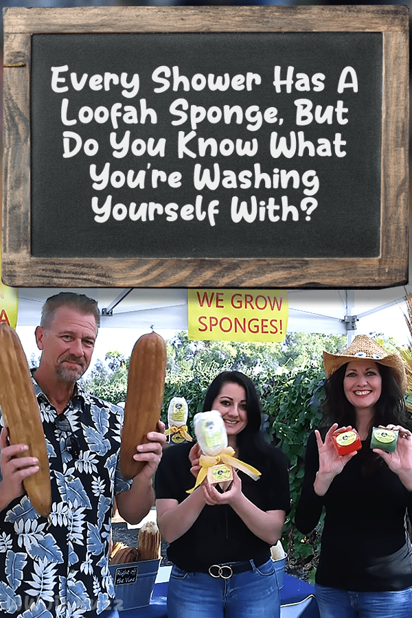 Every Shower Has A Loofah Sponge, But Do You Know What You\'re Washing Yourself With?