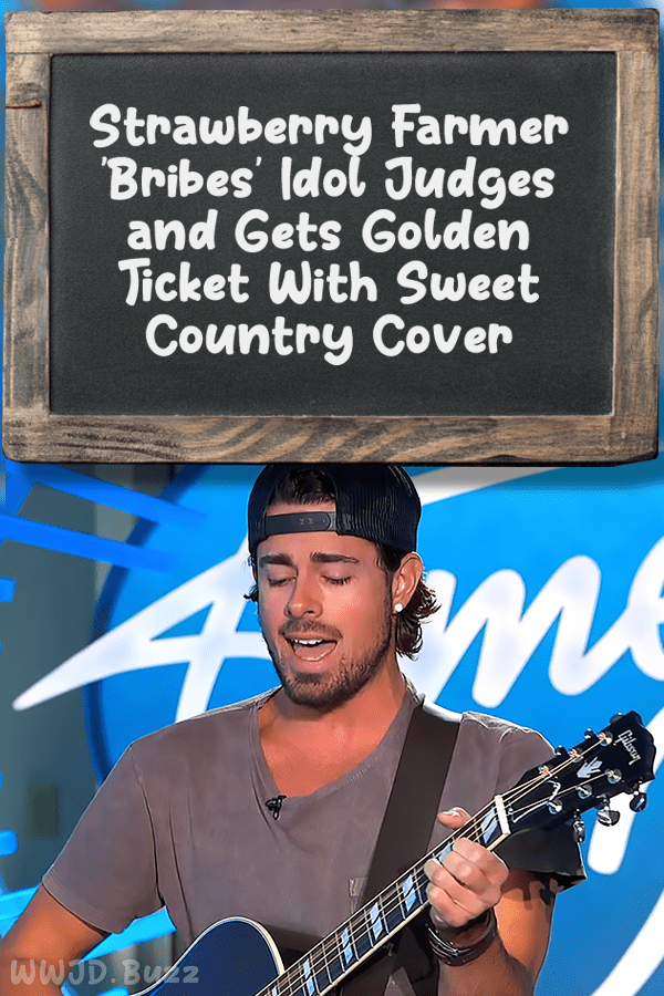 Strawberry Farmer \'Bribes\' Idol Judges and Gets Golden Ticket With Sweet Country Cover