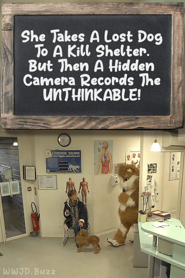 She Takes A Lost Dog To A Kill Shelter. But Then A Hidden Camera Records The UNTHINKABLE!