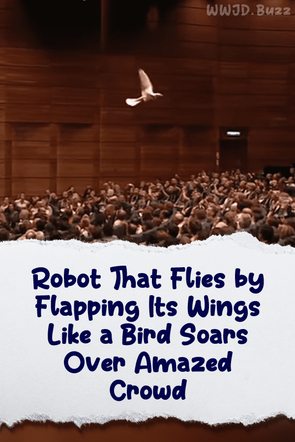 Robot That Flies by Flapping Its Wings Like a Bird Soars Over Amazed Crowd