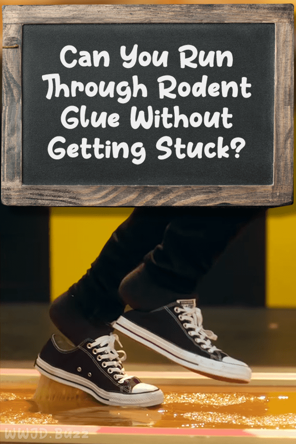 Can You Run Through Rodent Glue Without Getting Stuck?