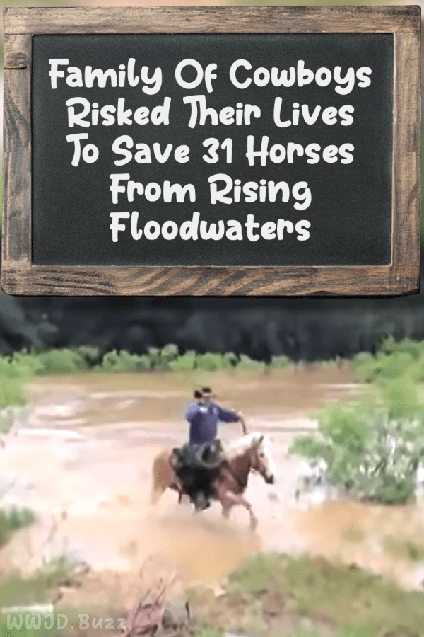 Family Of Cowboys Risked Their Lives To Save 31 Horses From Rising Floodwaters