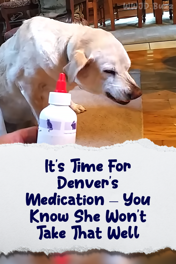 It\'s Time For Denver\'s Medication – You Know She Won\'t Take That Well
