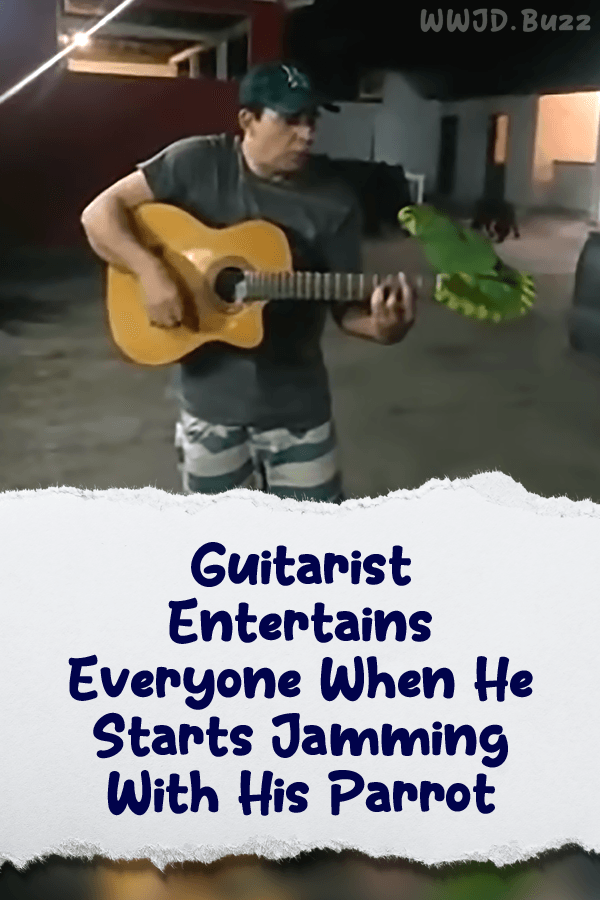 Guitarist Entertains Everyone When He Starts Jamming With His Parrot