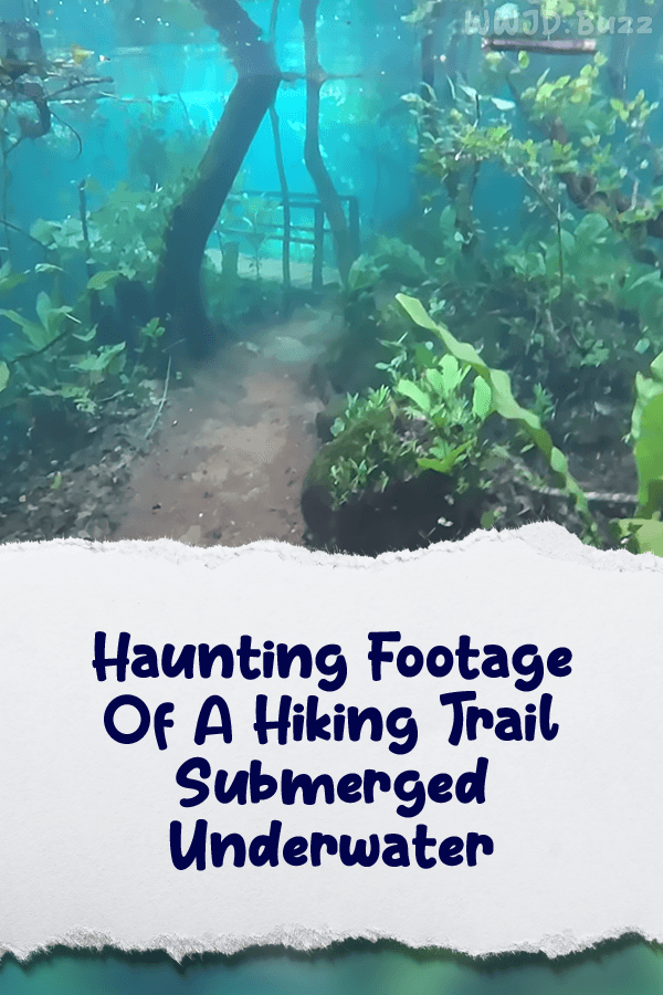 Haunting Footage Of A Hiking Trail Submerged Underwater