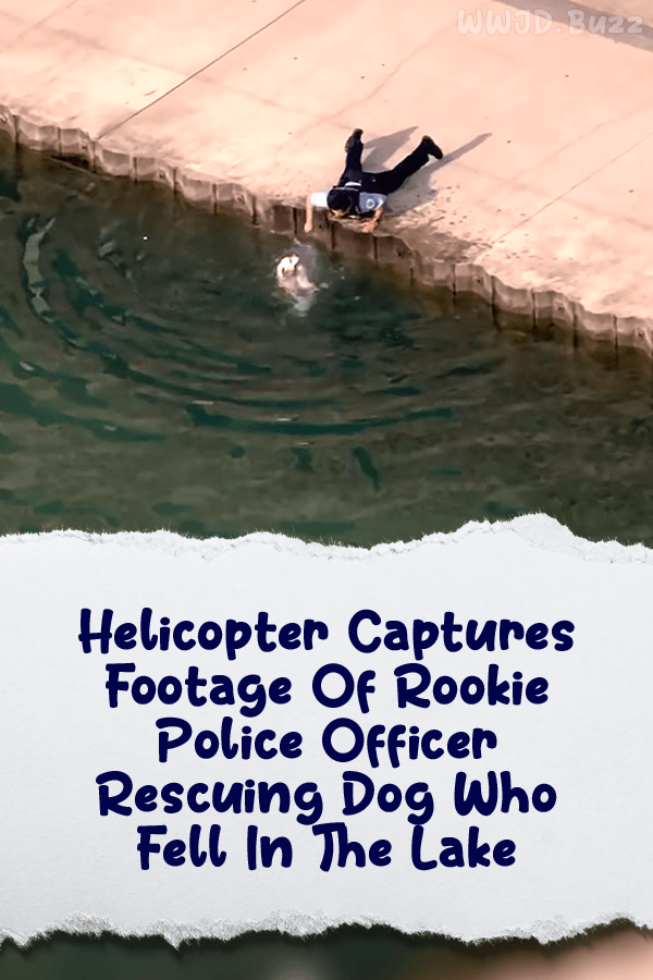 Helicopter Captures Footage Of Rookie Police Officer Rescuing Dog Who Fell In The Lake