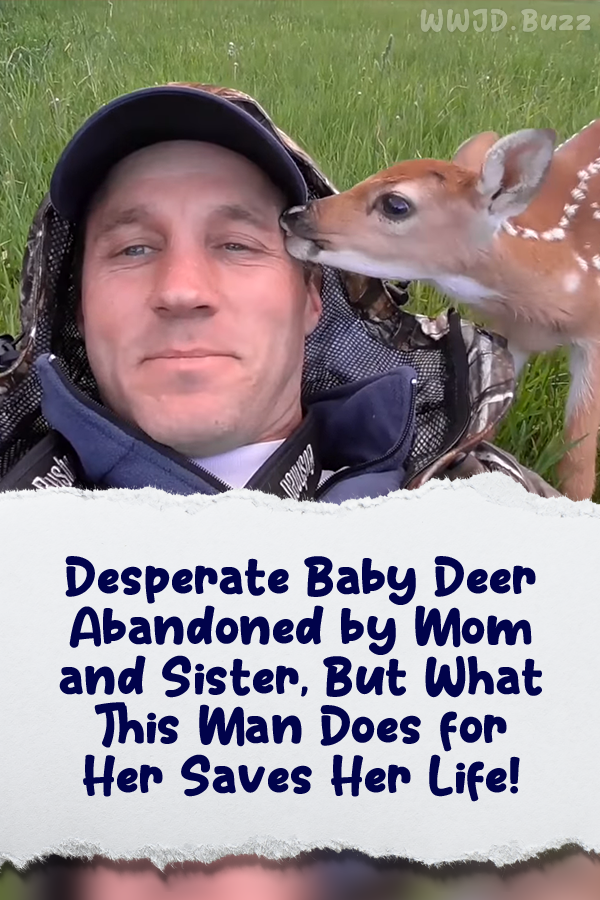 Desperate Baby Deer Abandoned by Mom and Sister, But What This Man Does for Her Saves Her Life!