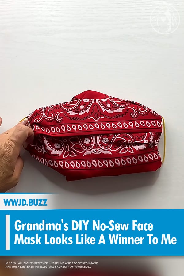 Grandma\'s DIY No-Sew Face Mask Looks Like A Winner To Me