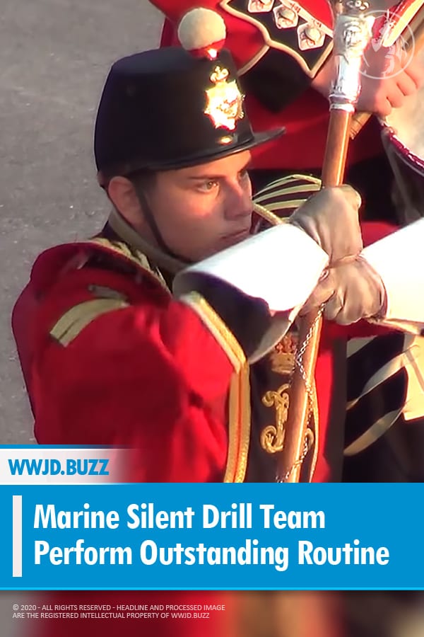Marine Silent Drill Team Perform Outstanding Routine