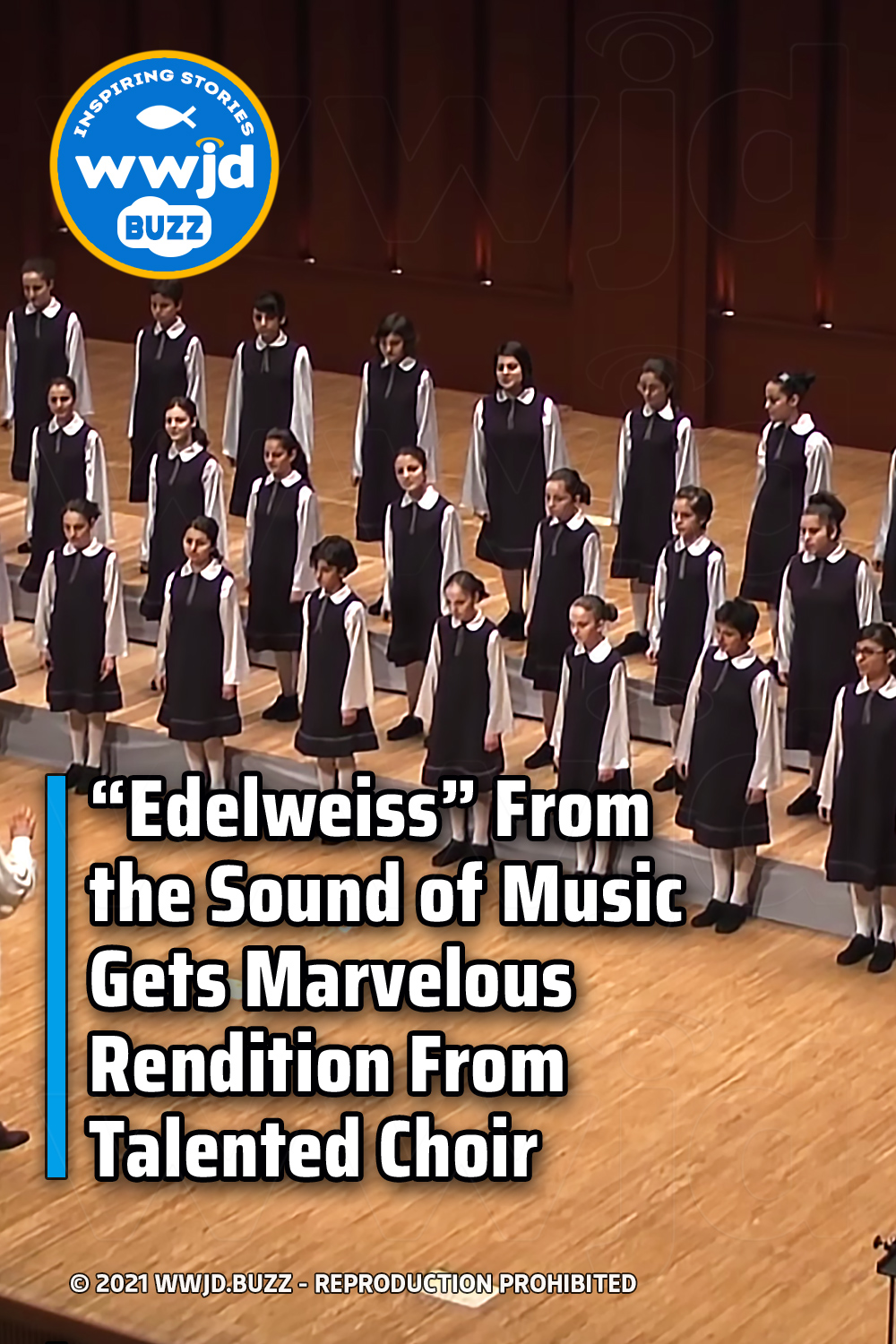 “Edelweiss” From the Sound of Music Gets Marvelous Rendition From Talented Choir