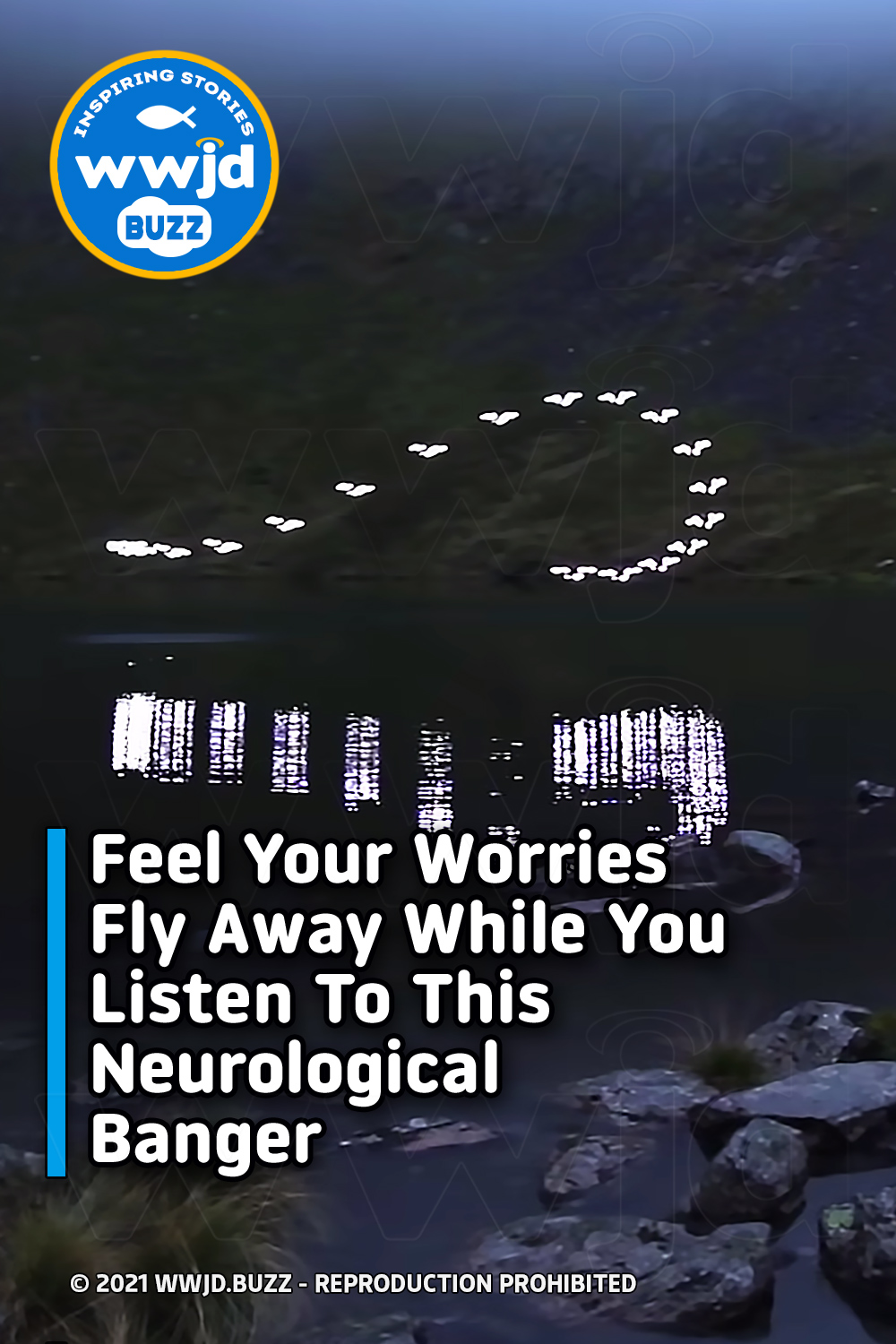Feel Your Worries Fly Away While You Listen To This Neurological Banger