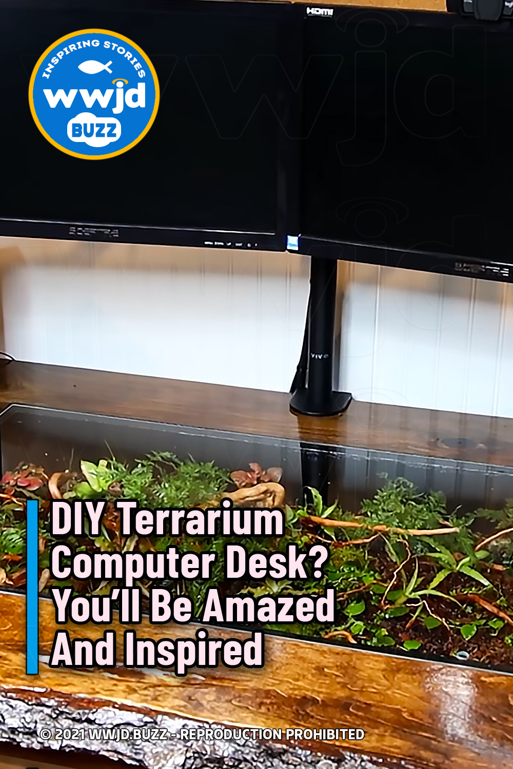 DIY Terrarium Computer Desk? You\'ll Be Amazed And Inspired