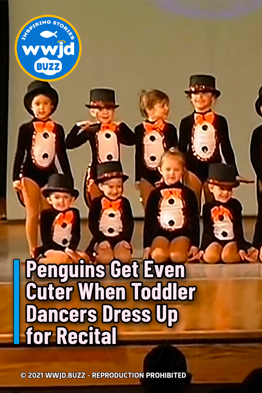 Penguins Get Even Cuter When Toddler Dancers Dress Up for Recital