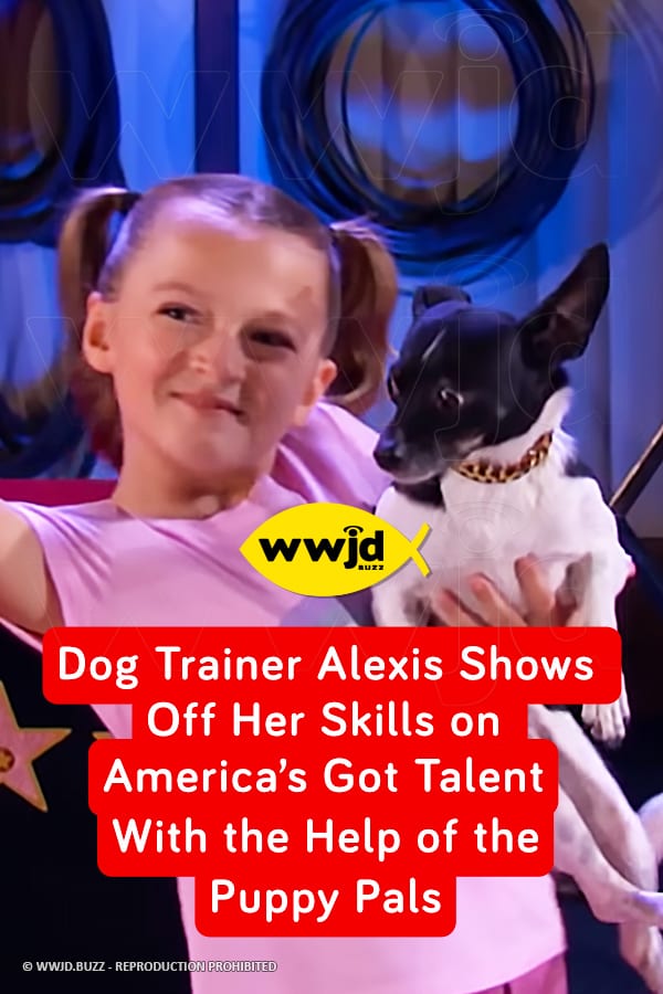 Dog Trainer Alexis Shows Off Her Skills on America’s Got Talent With the Help of the Puppy Pals