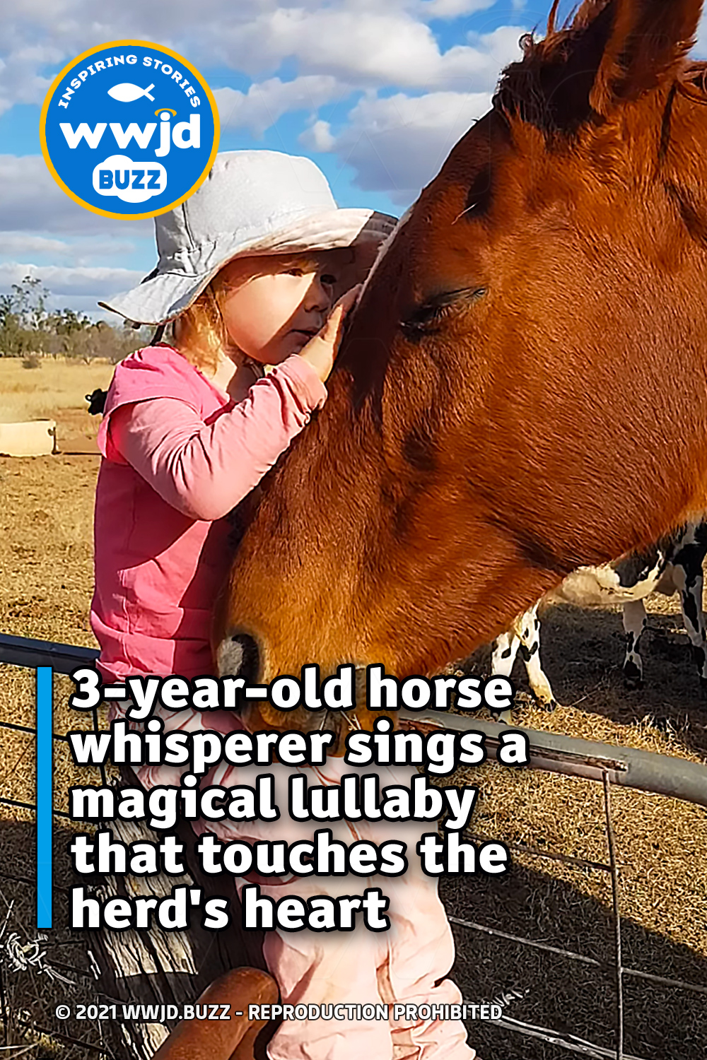 3-year-old horse whisperer sings a magical lullaby that touches the herd\'s heart