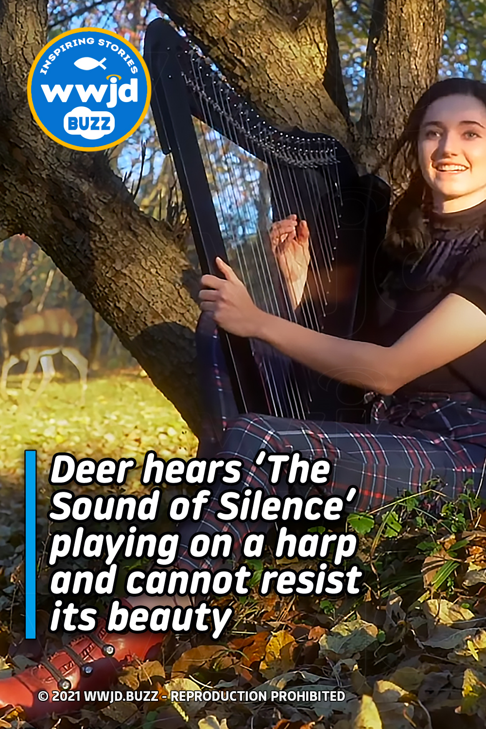 Deer hears ‘The Sound of Silence’ playing on a harp and cannot resist its beauty