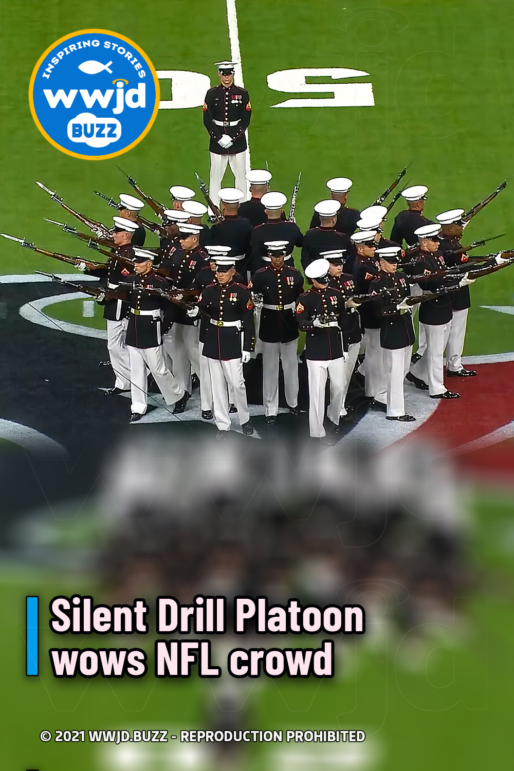Silent Drill Platoon wows NFL crowd