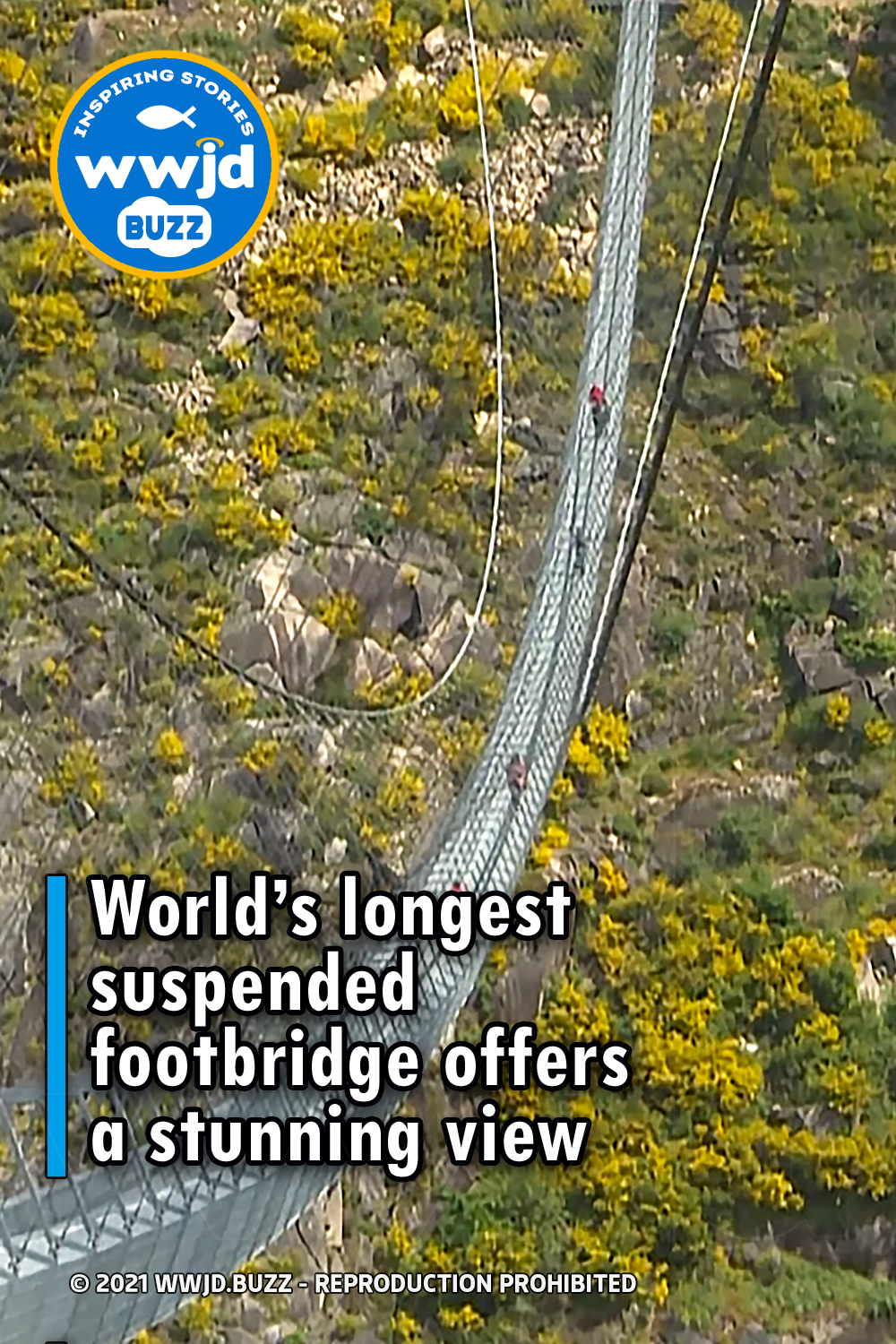 World’s longest suspended footbridge offers a stunning view