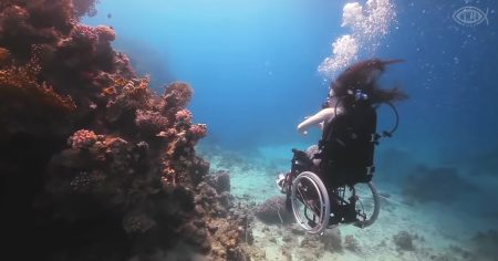 Underwater wheelchair diver visit coral reefs