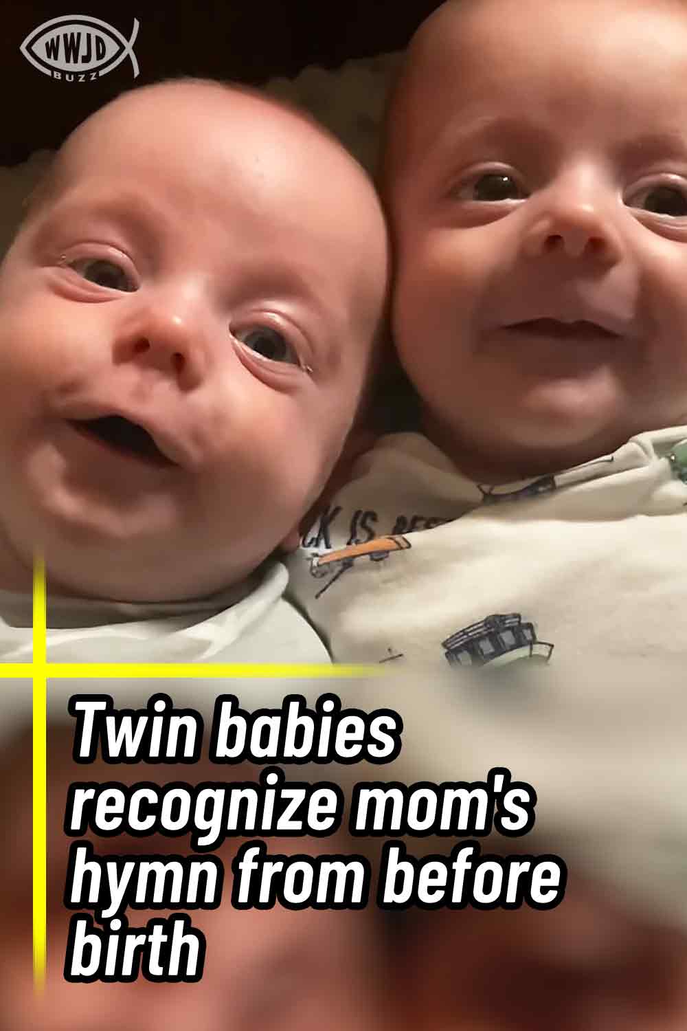 Twin babies recognize mom\'s hymn from before birth