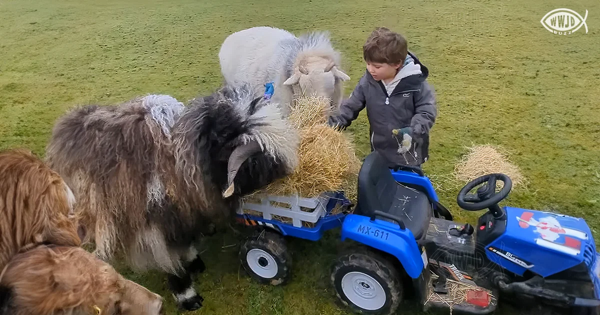 tiny tractor farmer